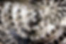 Background 1.jpg