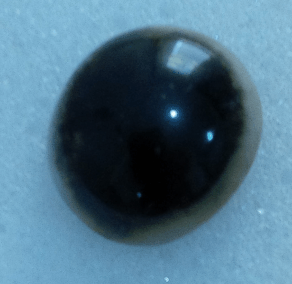 6.gif