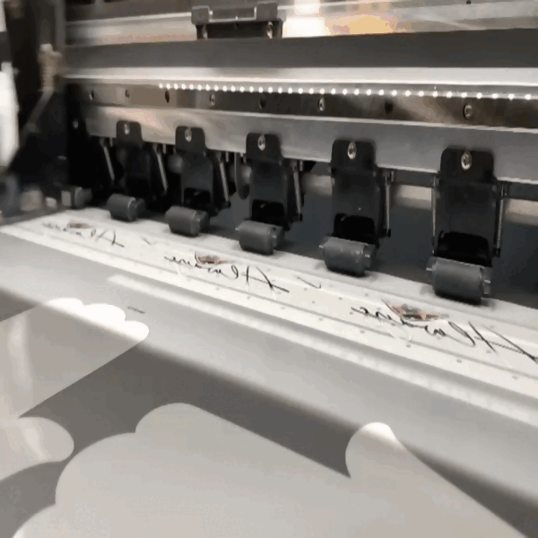 WhatsApp Video 2025-03-12 at 11.34.14 AM (1).gif