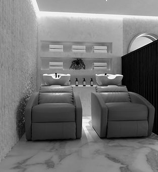 PALM - DOWNSTAIRS 7_edited_edited.jpg