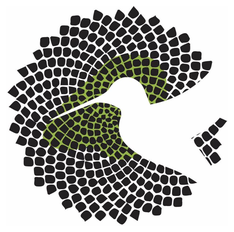 Colibri Collaborative