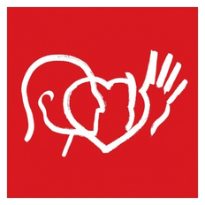 CILSA (Catholic Institute for Lasallian Social Action)