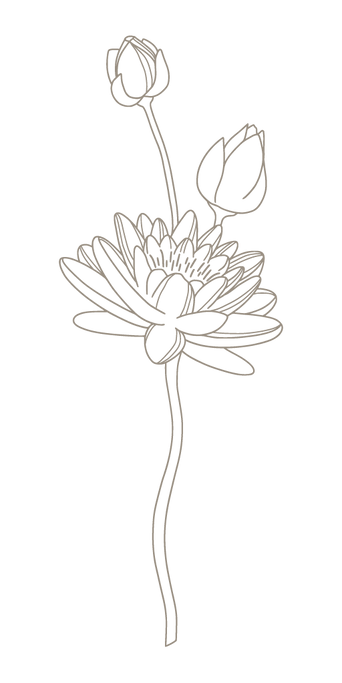 Lotus5.png