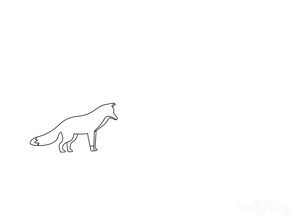 Fox Jump Animation