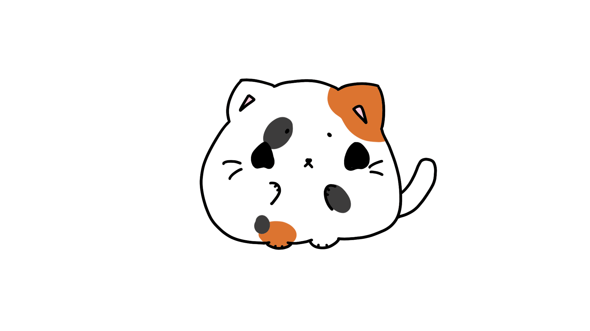 Cat Animation GIF