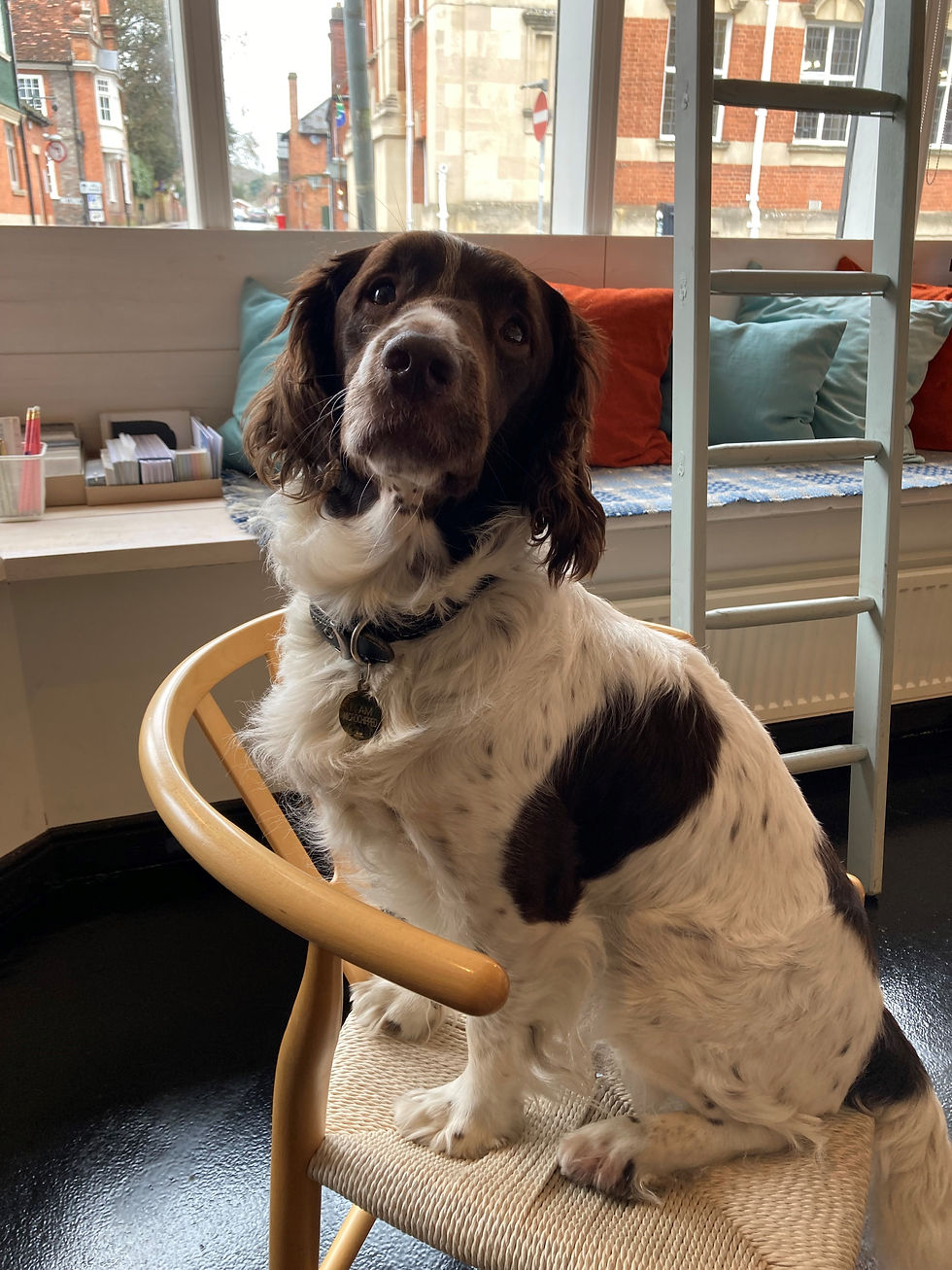 Employee of Simon Mack Architecture