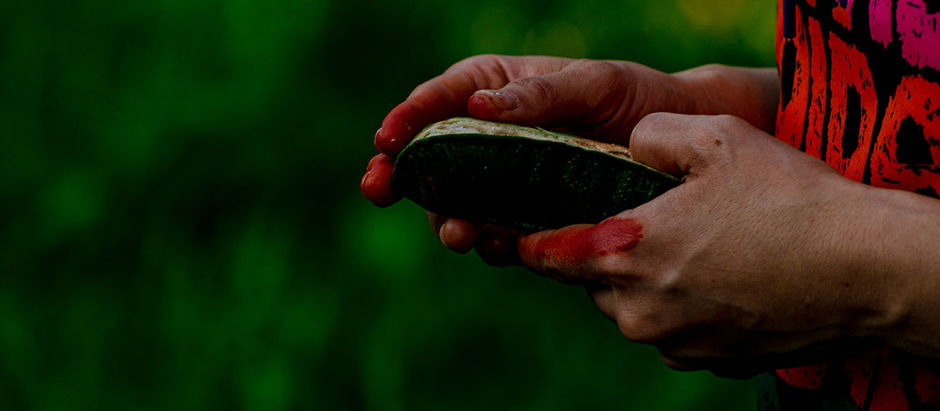 🌱  Tierra Fértil: un viaje que sembró la mirada