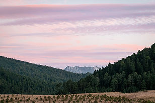 NEVADO VALEE 012024_RESIZE_VS.COM26.JPG