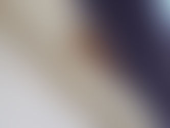 【軒樋 補修工事】