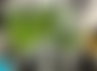 |Review| Bộ sản phẩm trị mụn tinh chất tràm trà Vedette