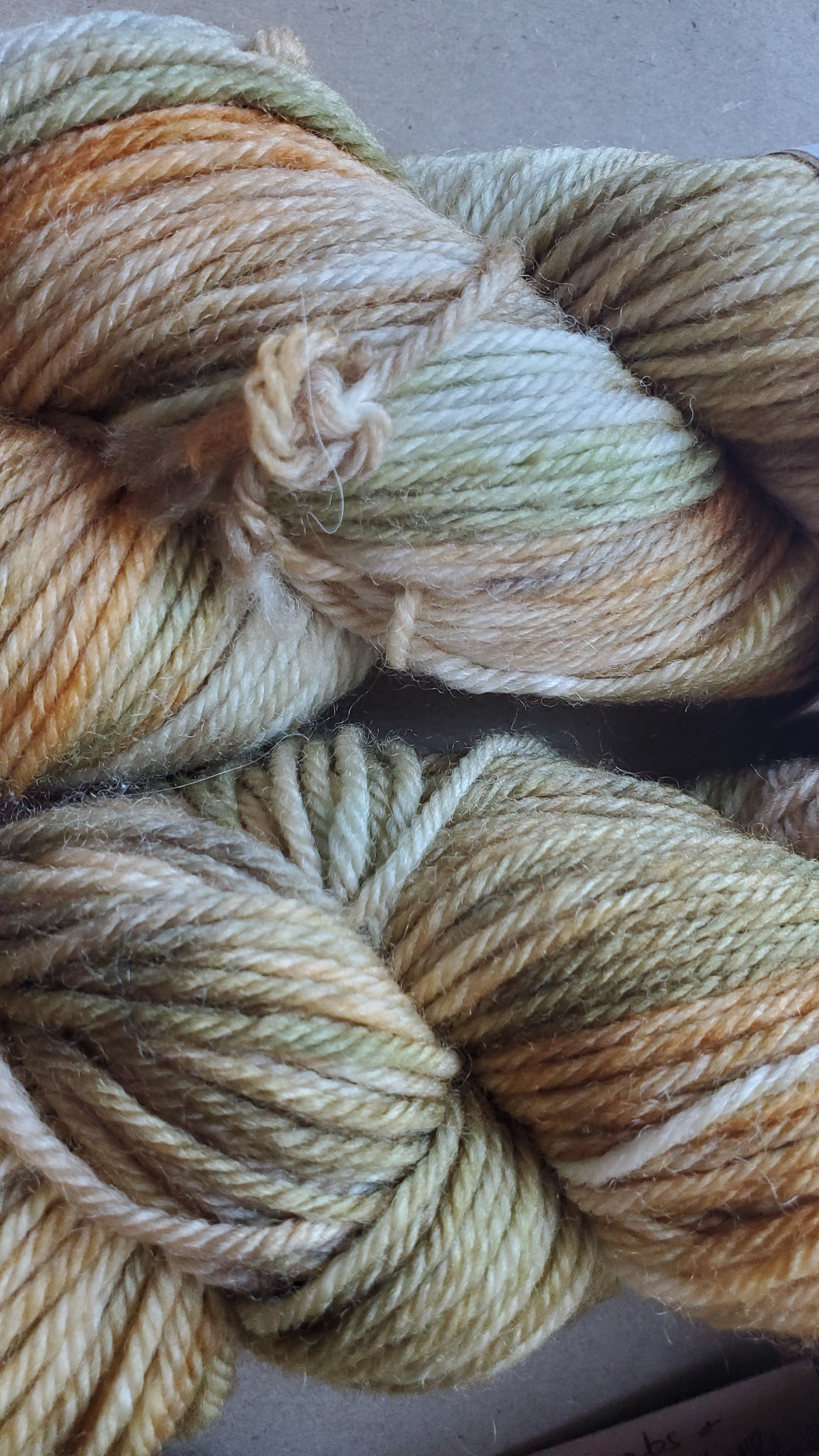 Green Crabs and Sea Shells