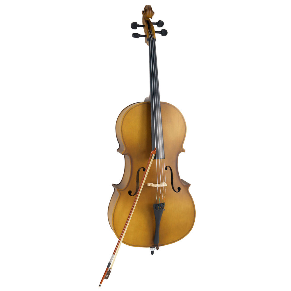 Beautiful full-scale (4/4) old-world style cello