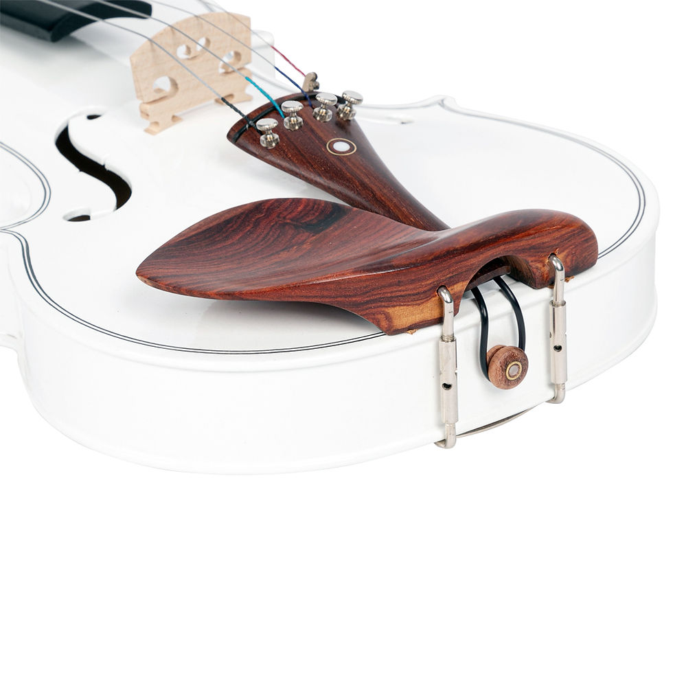 Sleek & Ready! NEW 4/4 Upscale White Matte Violin w/ Tuner 🧊 Full Size ...