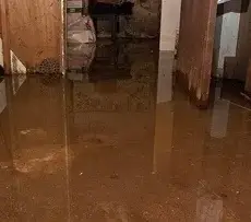 Moisture