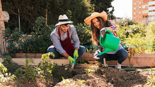 How Community Gardens Can Support Neighbors in Need