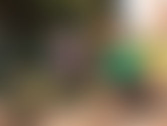 How Community Gardens Can Support Neighbors in Need