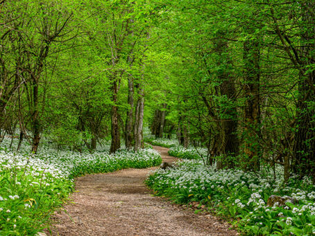 Wellness & Slow Living at The Farmhouse Manor