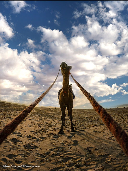 Screenshot_20200607-101911_Pixaloop.jpg