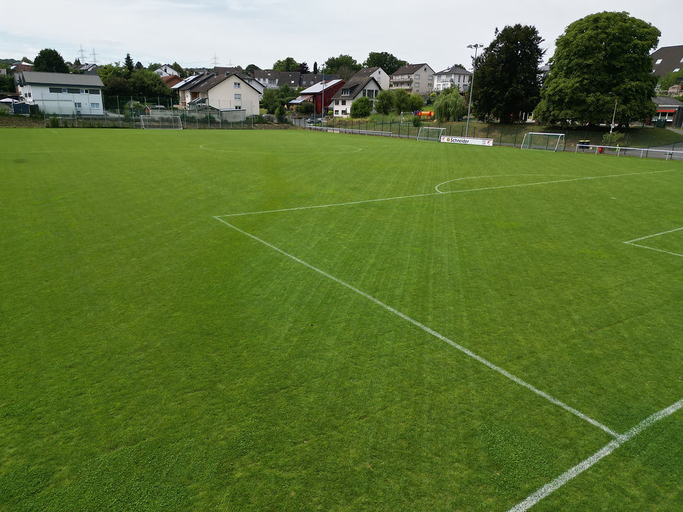 DJI_0205.JPG