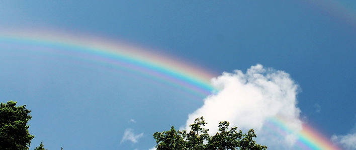 Rainbow above a tree with cloud formation in background