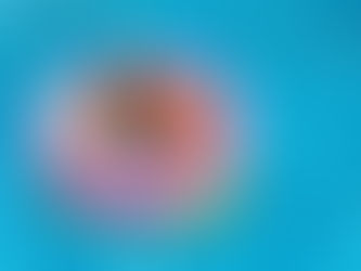 Help Pets Keep Their Cool During Summer Celebrations