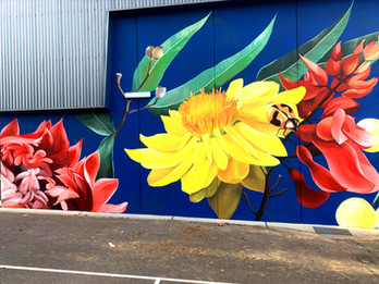 Surrey Hills Primary