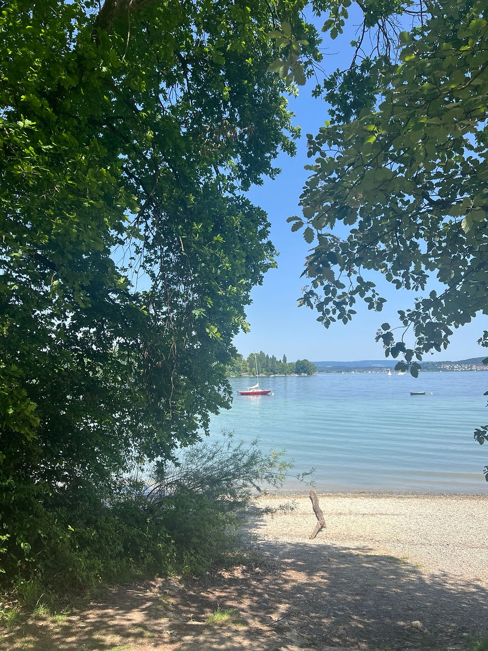 A Summer Update from Our Team 