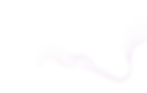 Partner BG.jpg