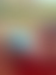 A Christmas Thankyou...