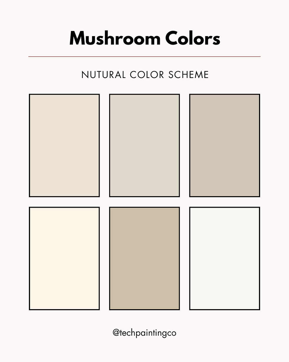 The Rise of "Money Palettes": A Versatile Commercial Space