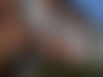 Planning Exterior Projects for Spring