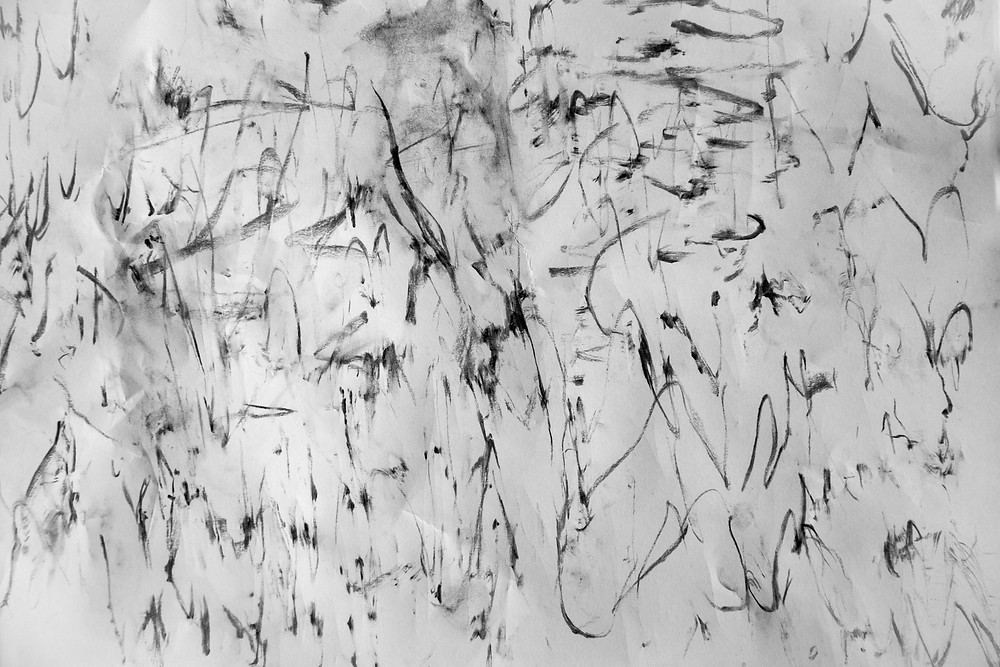 Abstract black charcoal markings mark a white canvas, the manifestations of taking rubbings from a Yellow Box gum tree. Photograph and work by Megan Kennedy.
