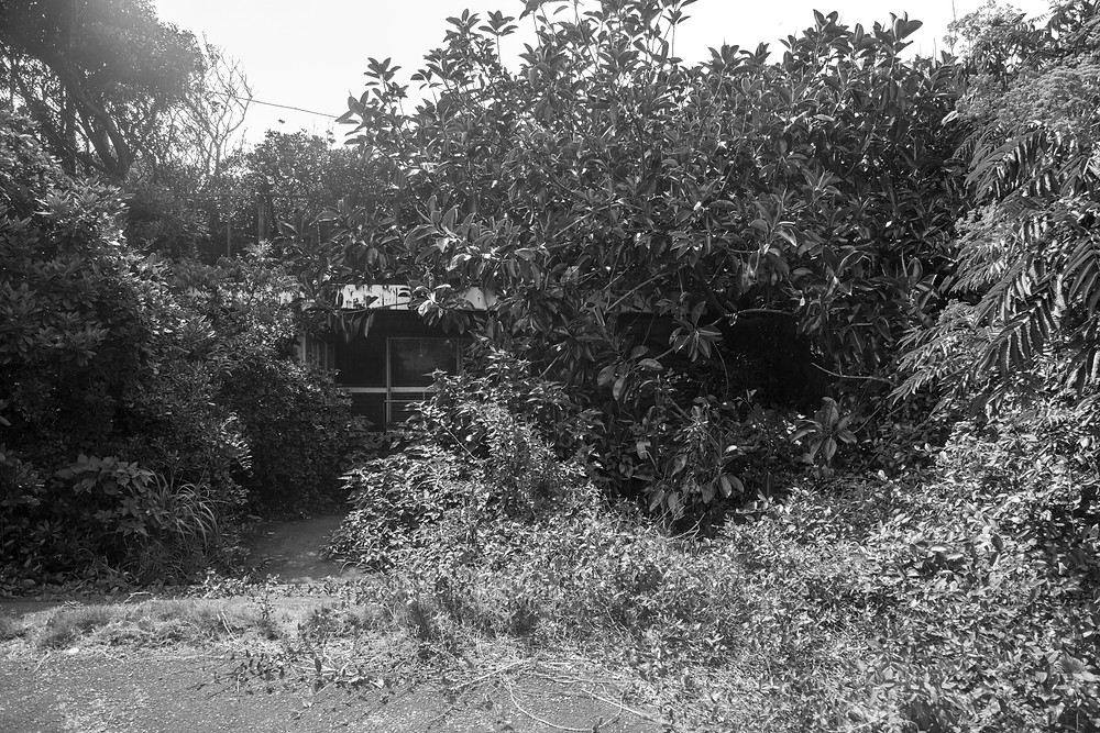 Jungle Park on the Irozaki Peninsula, Japan. A building is overgrown with wild foliage. Photographed by Megan Kennedy