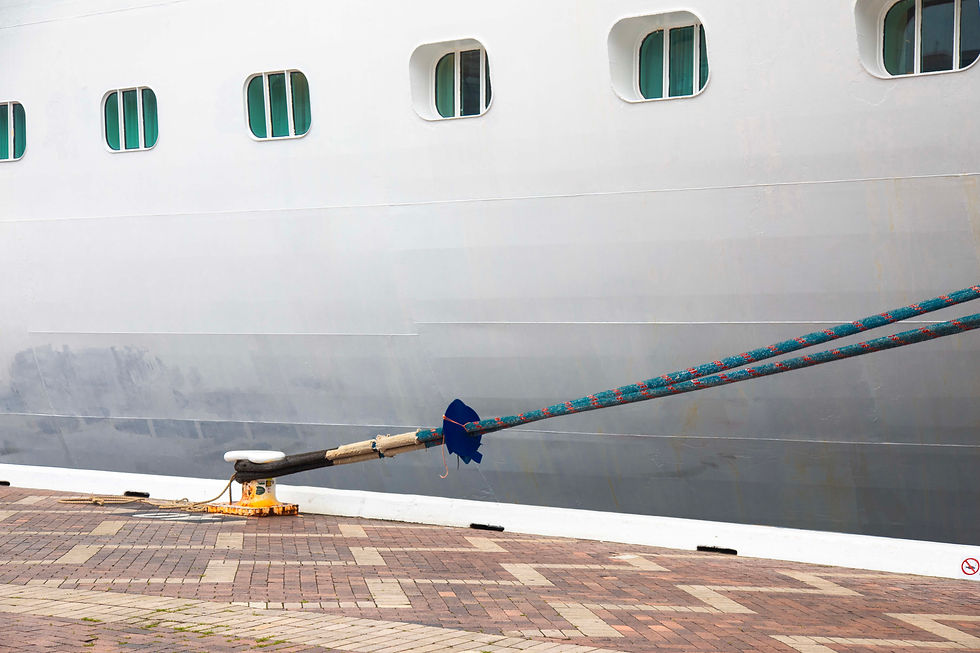 A photograph taken by Australian Artist Megan Kennedy of maritime rope attached to a cruise ship in Circular Key as a work of art