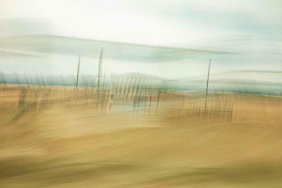 ICM intentional camera movement example by Megan Kennedy on iris28