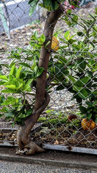 Structure at 100% Instagram effects editing close up