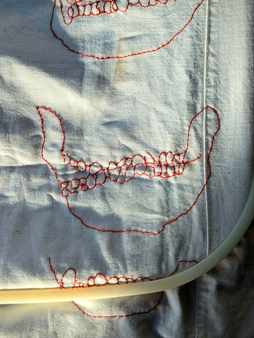 A photograph taken by textile artist and writer Megan Kennedy in Canberra Australia of several hand embroidered jaw bones or mandibles red thread on a white cotton sheet. These images were origionally drawn using the blind contour drawing technique. The embroidery hoop can also be seen.