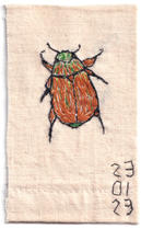 Textile sampler by artist Megan Kennedy. A small christmas beetle embroidered in gold, brown and green is featured in the sampler as well as the date the artist encountered the creature