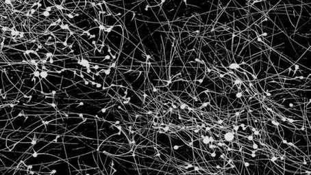 Wind Drawings - Babyteeth Journal