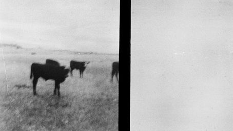 Countryside/Seaside