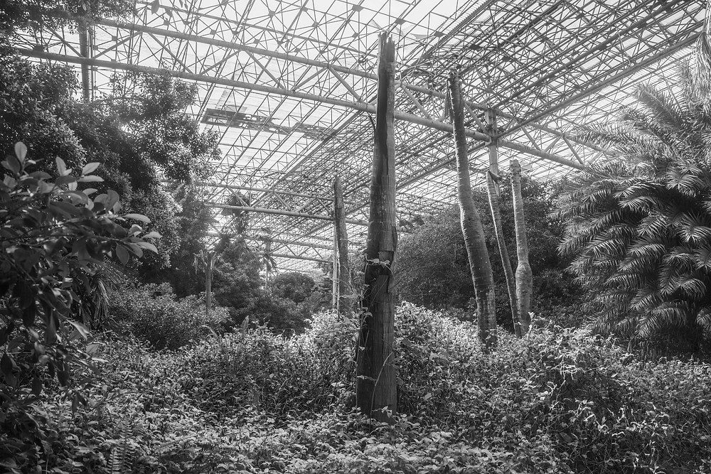 A photograph of the abandoned Jungle Park in Japan taken by Megan Kennedy