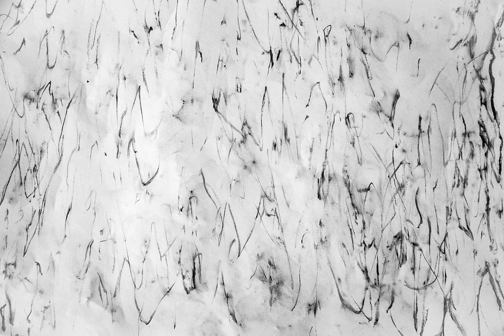 Abstract black charcoal markings mark a white canvas, the manifestations of taking rubbings from a gum tree. Photograph and work by Megan Kennedy.