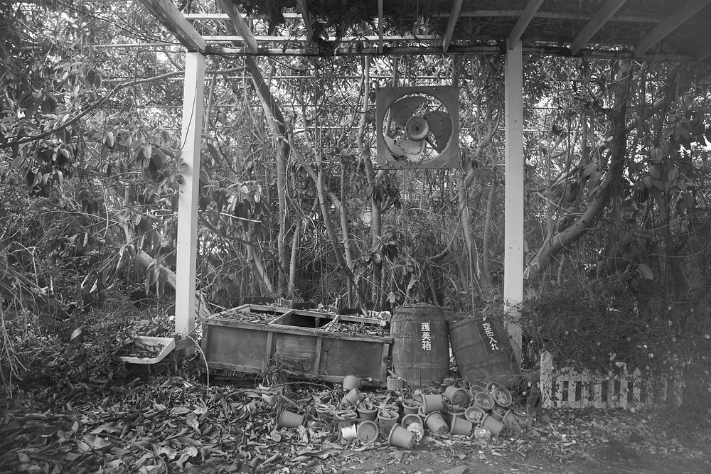 Abandoned Jungle Park on the Irozaki Peninsula, Japan. A black and white photograph of inside the abandoned park. Photographed by Megan Kennedy