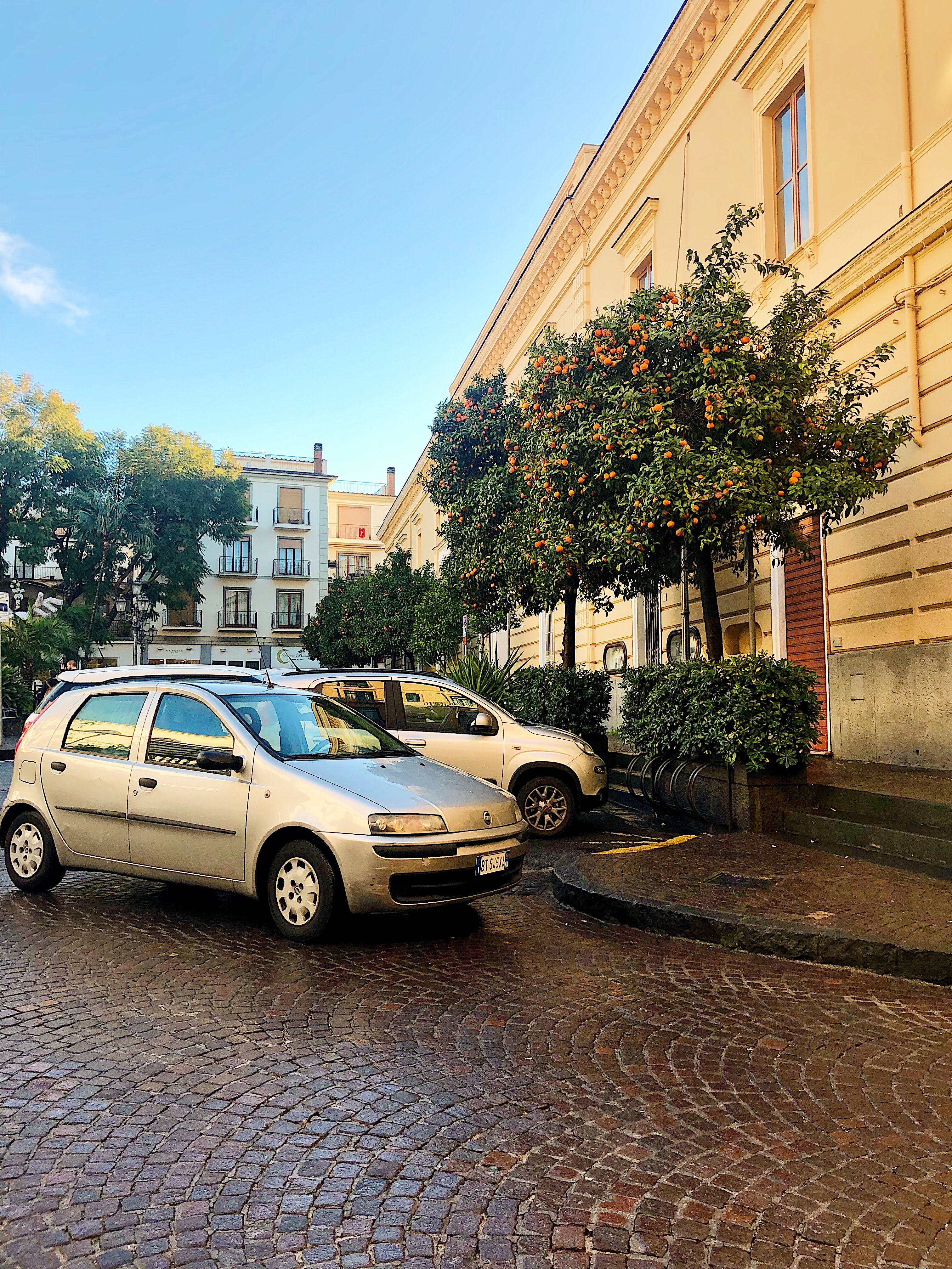 Downtown Sorrento, filled with citrus trees