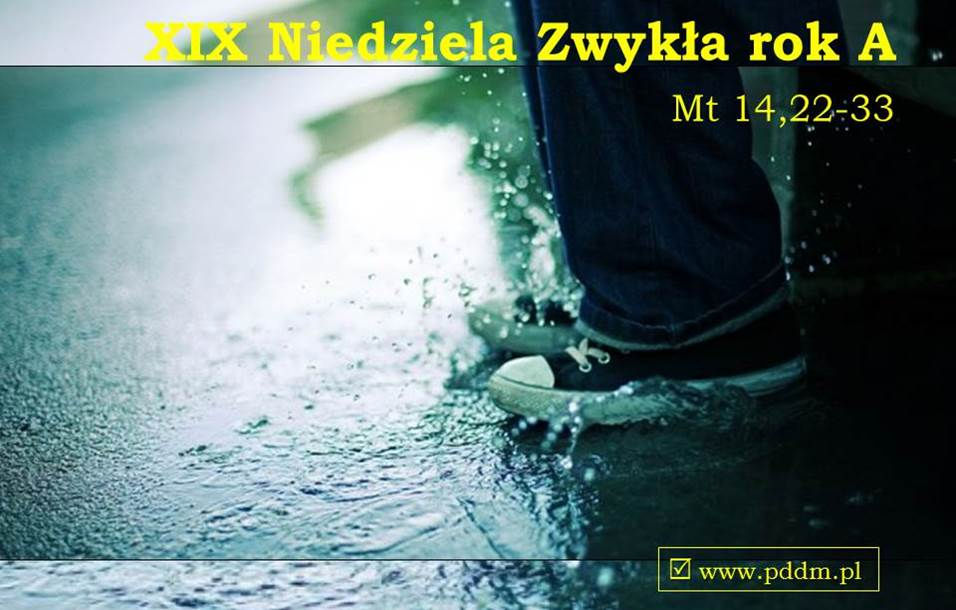 OGŁOSZENIA DUSZPASTERSKIE - 19. NIEDZIELA ZWYKŁA - 09.08.2026 R.