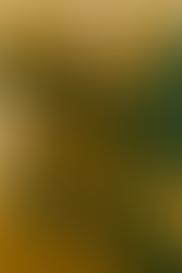 Sacred stillness—an image of prayer and unity, styled with minimalist geometry and warm retro tones.