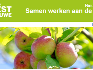 Samen werken aan de kern (Gemeente West Betuwe)
