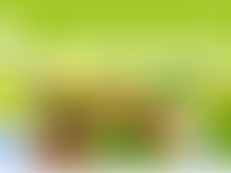 Samen werken aan de kern (Gemeente West Betuwe)