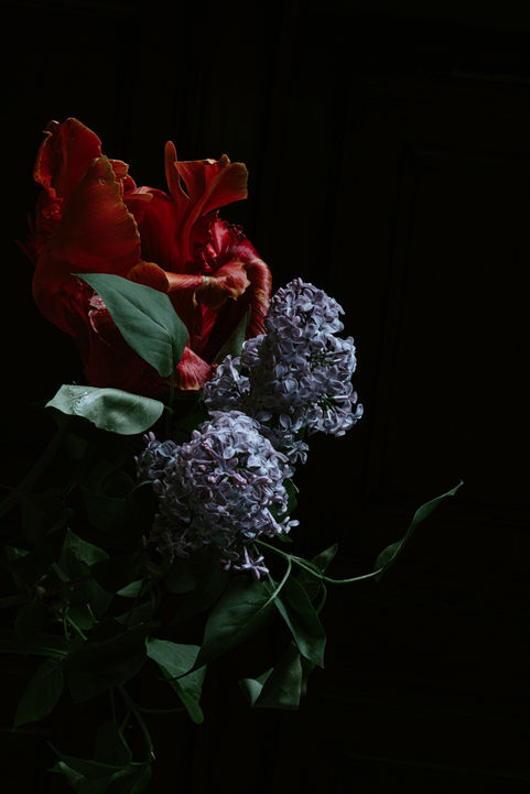 Lilas Perroquet - Tirage papier, contrecollage sous plexi - 60*90cm -2023