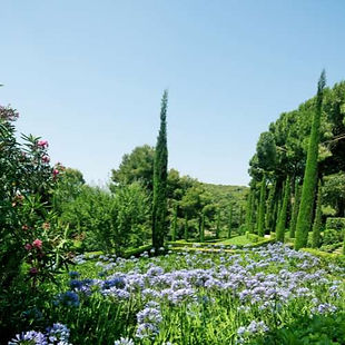 Lemaire environnement - évaluation environnementale.jpg